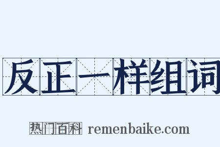 反正一样组词是什么意思的图片